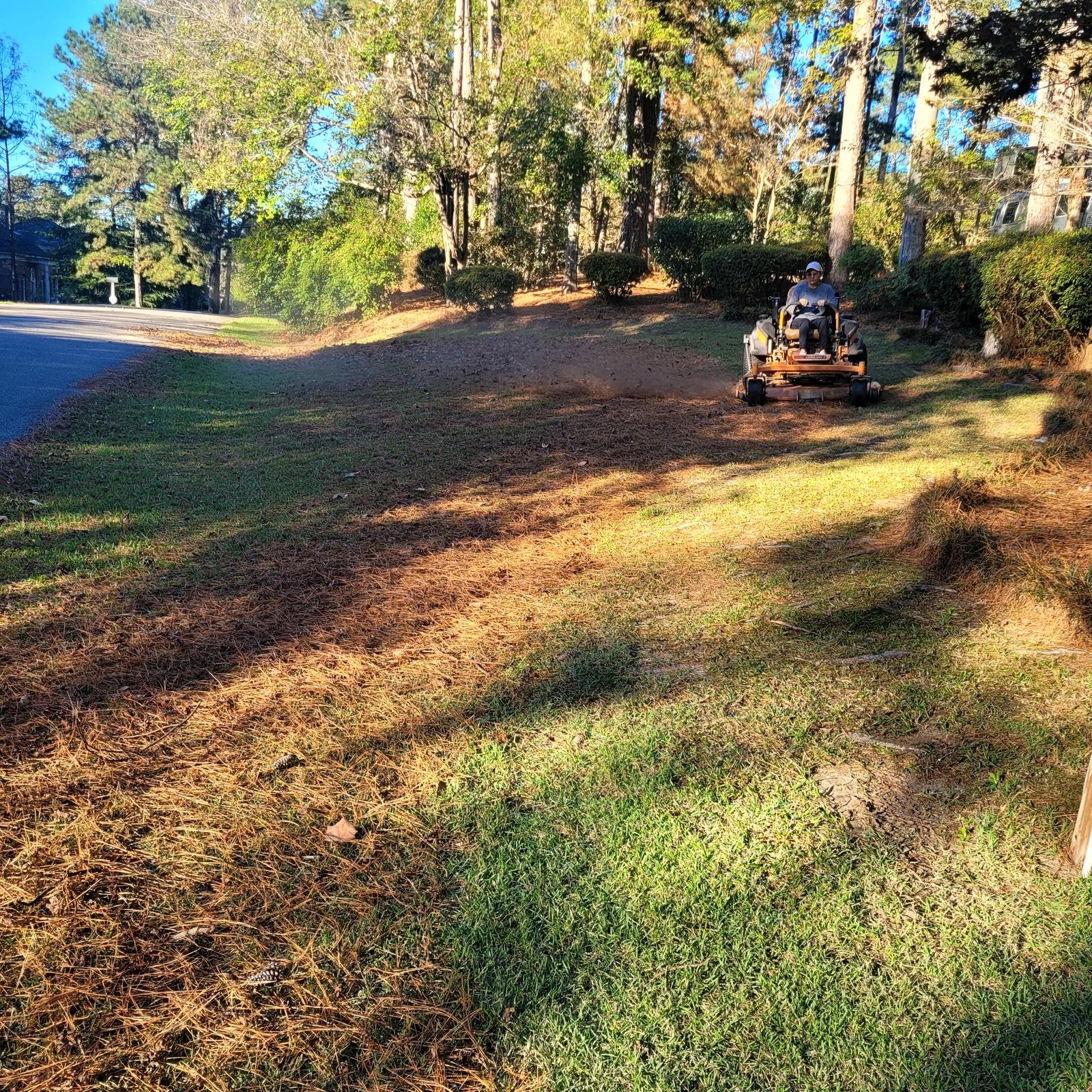 Residential lawn after professional leaf cleanup